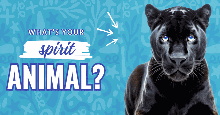 Discover Your Inner Animal: Which Creature Mirrors Your True Self?