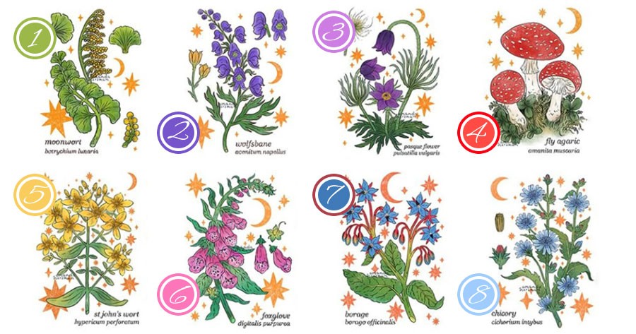 What's Your Love Destiny? Pick A Flower And Find Out